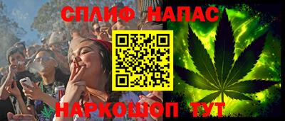 спиды Новозыбков