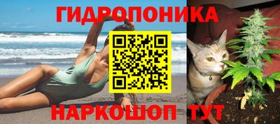 спиды Новозыбков