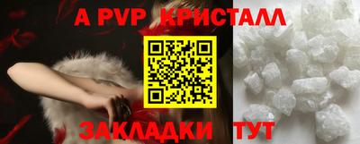 спиды Новозыбков